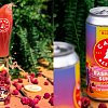 Beer column: This fruity blonde ale from Camp hits all the right notes