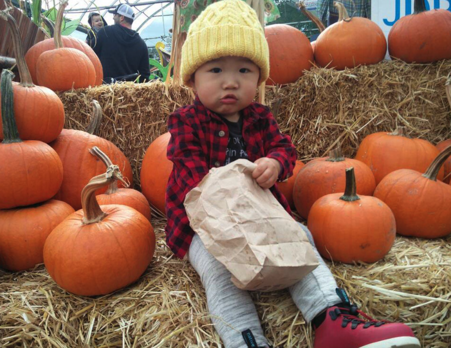 <who> Photo credit: Anita Gee </who> Emerson was just over a year old when he first suffered a reaction from walnuts.