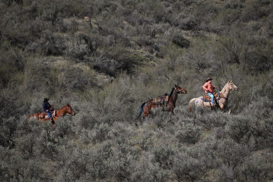 <who> Photo Credit: Aaron Hemens</who> Jane Stelkia, left, and her son, Aaron, follow a trail outside of the Nk’Mip Desert Cultural Centre in sw̓iw̓s (Osoyoos) ahead of her 95th birthday party on April 11.