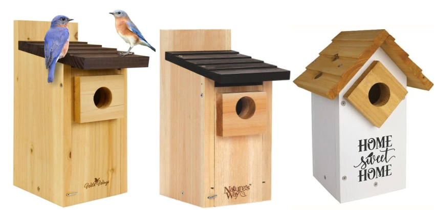 </who>The beginning of April is the time to put out some birdhouses for songbirds to build their nests and raise their young.