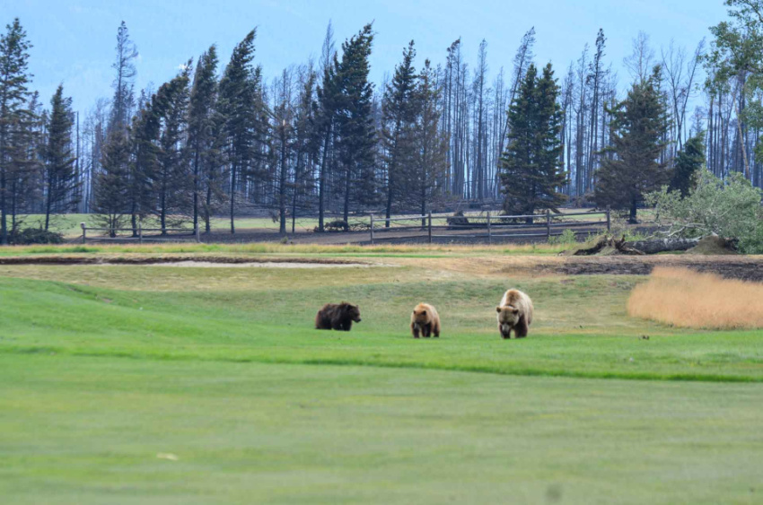 <who>Jasper National Park 