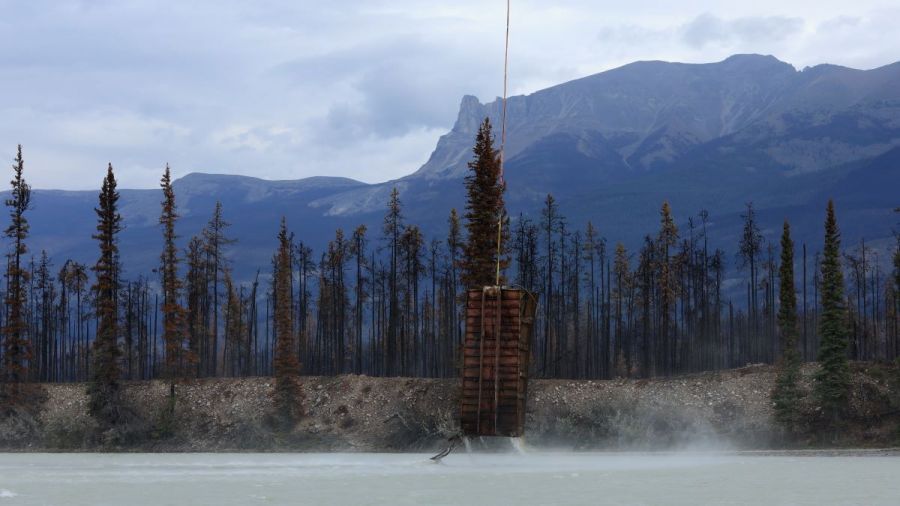 <who> Photo Credit: Jasper National Park