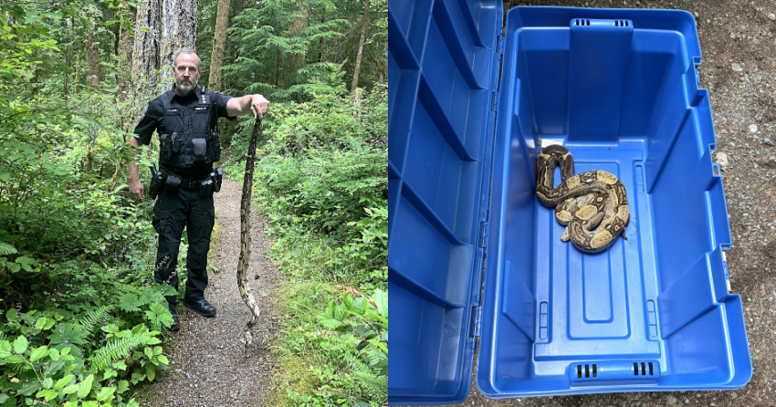 <who> Photo Credit: BCCOS