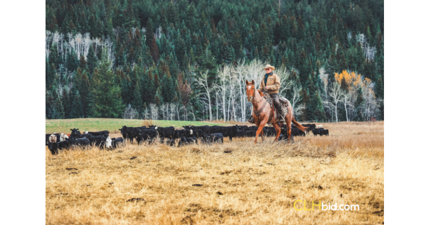 <who>Photo credit: CLHBid.com</who>The Hat Creek Ranch Collection goes to auction Aug. 15 with a starting bid of $5.9 million.