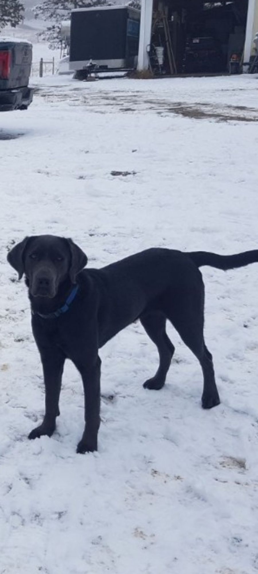 <who> Photo Credit: RCMP