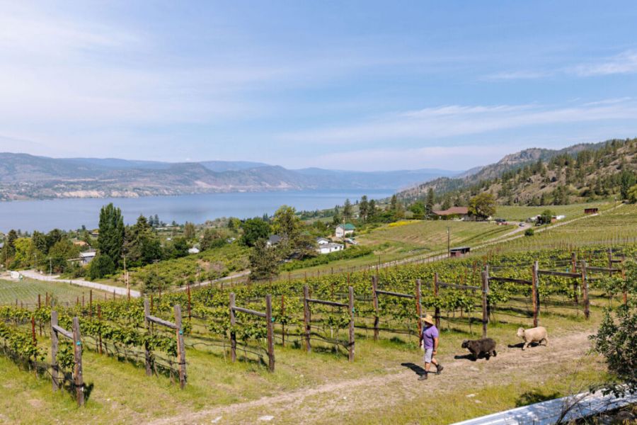 <who>Visit Penticton