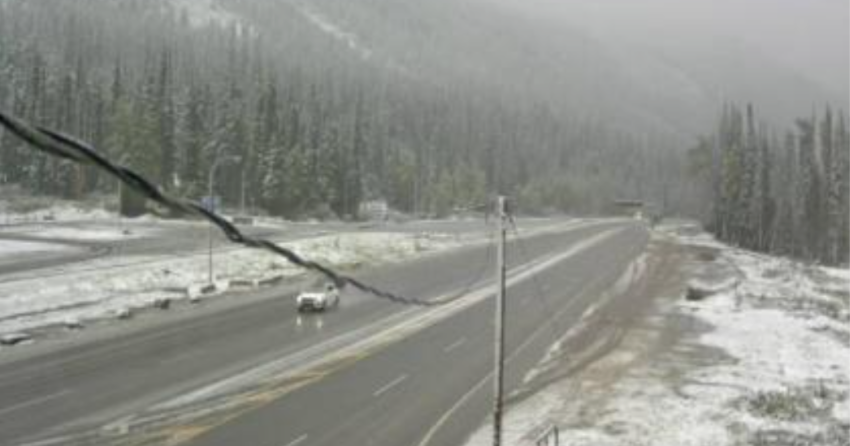 <who> Photo Credit: DriveBC </who> Highway 1 about 72 km east of Revelstoke at Rogers Pass in Glacier National Park.