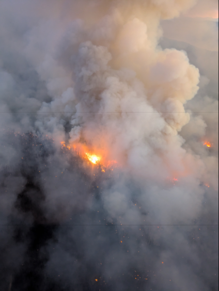<who> Photo Credit: BC Wildfire Service </who> The fire on Tuesday, July 15.