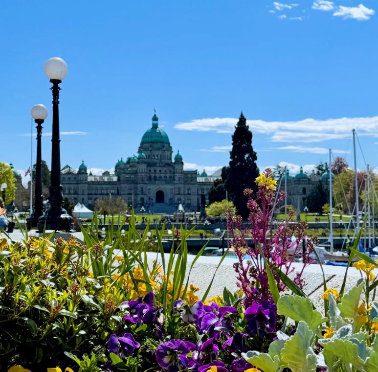 <who>Photo Credit: @nati.moterle on Instagram</who>Victoria hit 26.9°C on Sunday to break a heat record set all the way back in 1898.