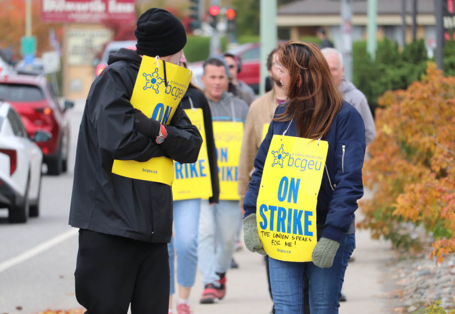 <who> Photo Credit: NowMedia/Corvin Vaski