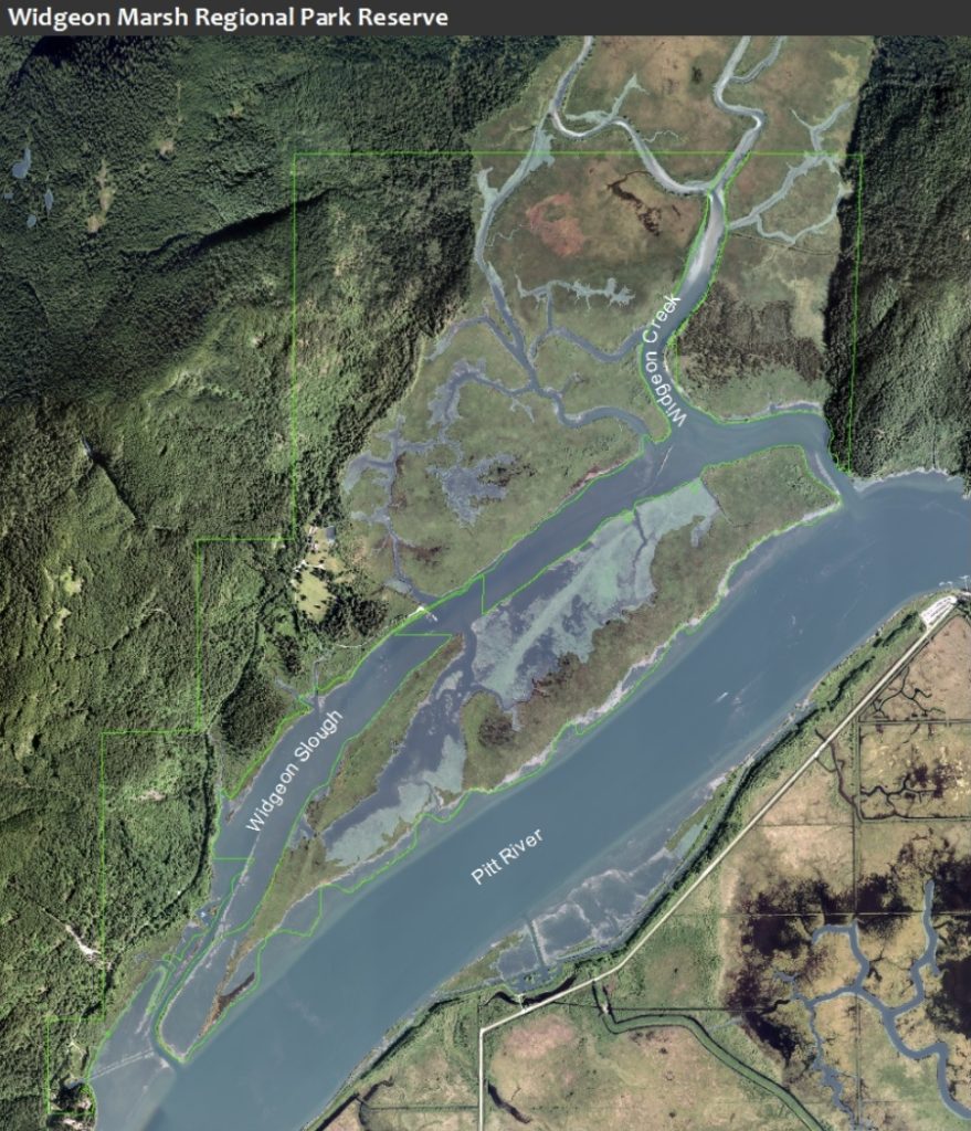 <who> Photo Credit: Metro Vancouver</who>The boundaries of the Widgeon Marsh Regional Park outlined in green.
