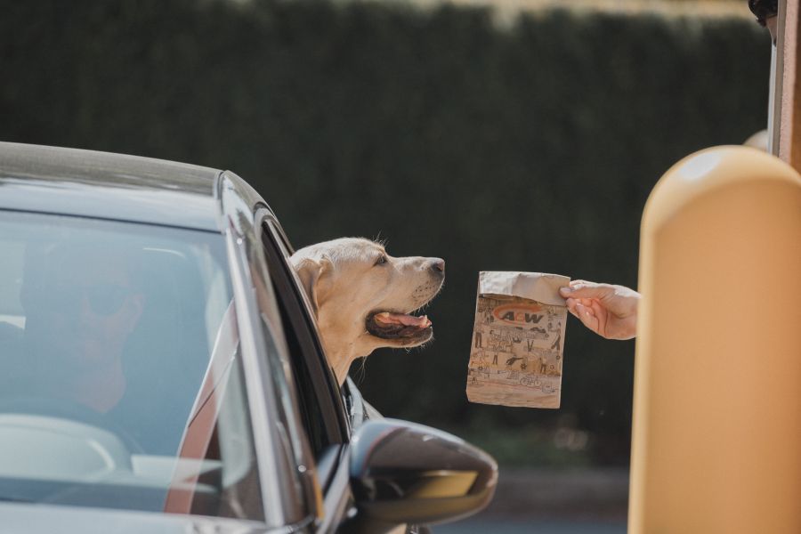 <who>Photo Credit: A&W Canada