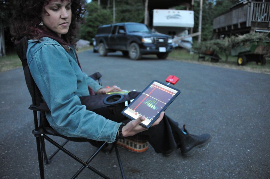 <who> Photo Credit: Dave Flawse/The Discourse</who> Heather Thomson, program manager for the Cumberland Community Forest Society, tracks bat echolocation calls using a tablet for a Comox Valley bat count on a property June 18.