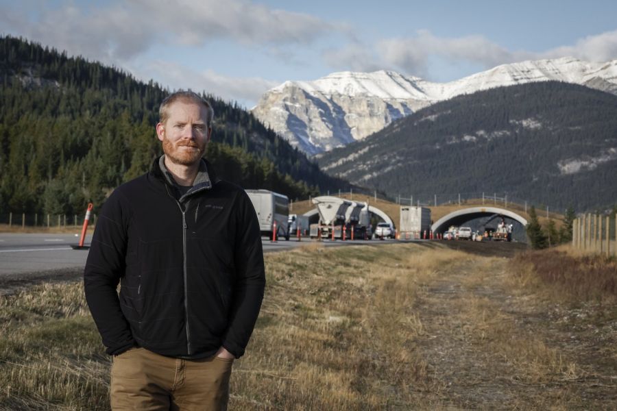 <who> Photo Credit: Canadian Press</who> Tim Johnson, a landscape connectivity specialist with the Yellowstone to Yukon Conservation Initiative looks out past the organization's wildlife overpass over the Trans Canada highway near Exshaw, Alta., Thursday, Oct. 17, 2024.