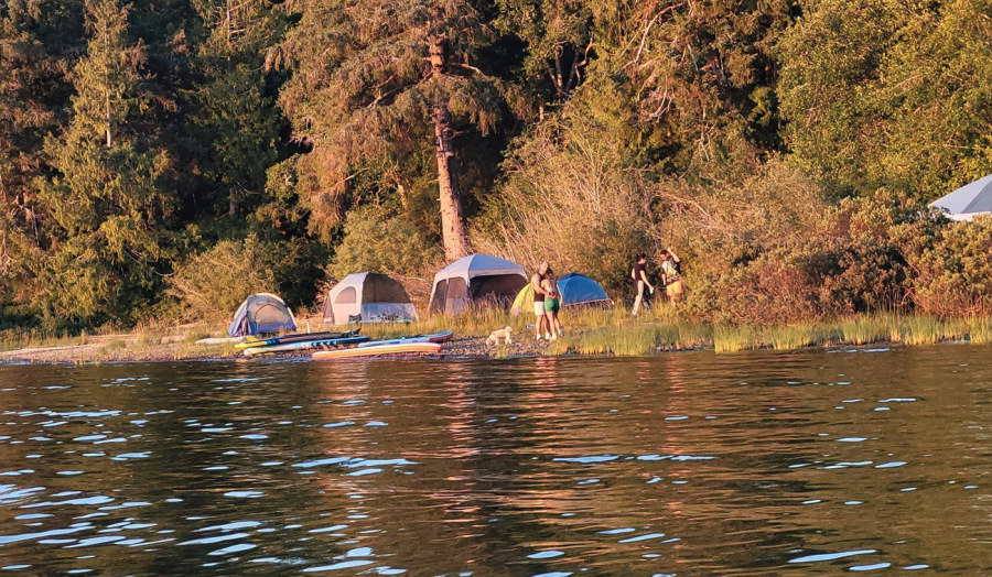 <who> Photo credit: Awilda Sanchez </who> Ucluelet resident Awilda Sanchez snapped this photo of a group of about 15 out-of-towners unlawfully camping at Kennedy Lake during the Canada Day long weekend. 