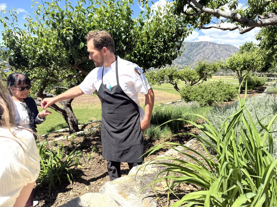 </who>Executive chef Patrick Gayler doles out samples of fruit and herbs.