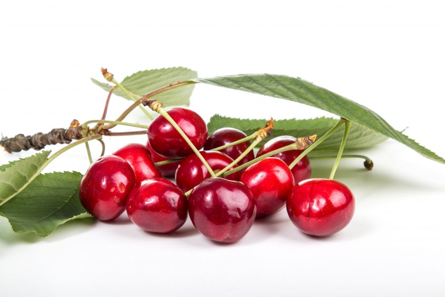 </who>Okanagan cherries will find their way to domestic and export markets this year.