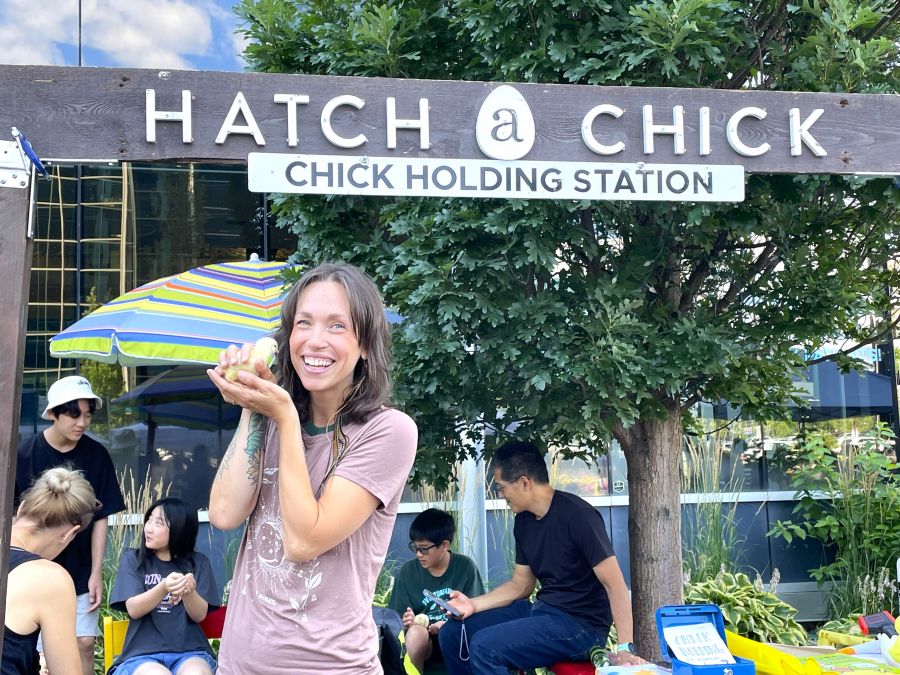 <who>Photo credit: Steve MacNaull/NowMedia Group</who>Celisha volunteers at the Hatch a Chick Chick Holding Station.