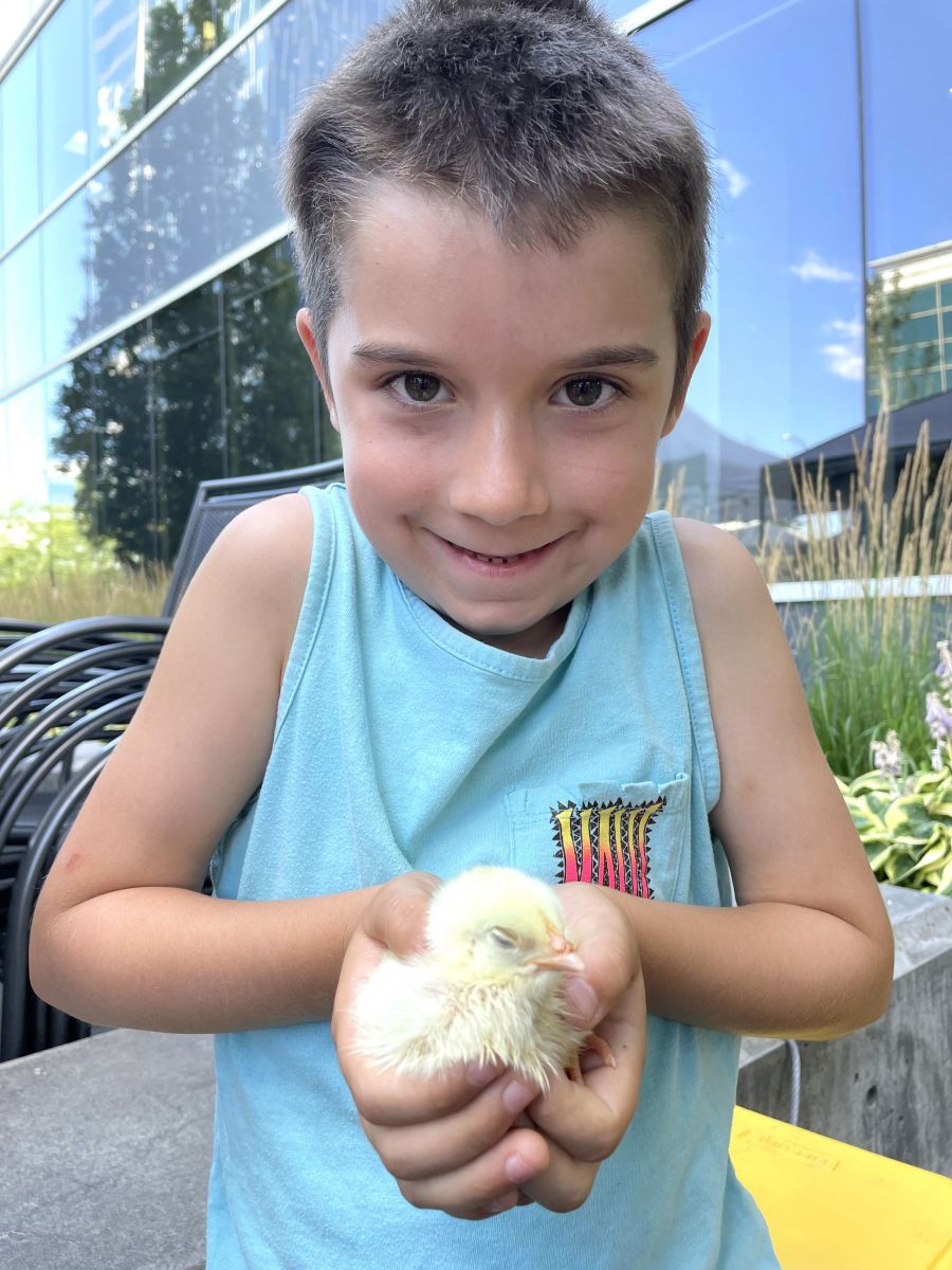 <who>Photo credits: Steve MacNaull/NowMedia Group</who>Otto, 6, above, gets his fix. Fritz, 4, below, wanted his dad to hold the chick so he could pat it.