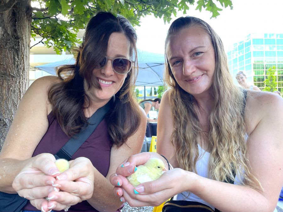 <who>Photo credit: Steve MacNaull/NowMedia Group</who>Chicks holding chicks -- Kerry and Lisa with handfuls of fluff.