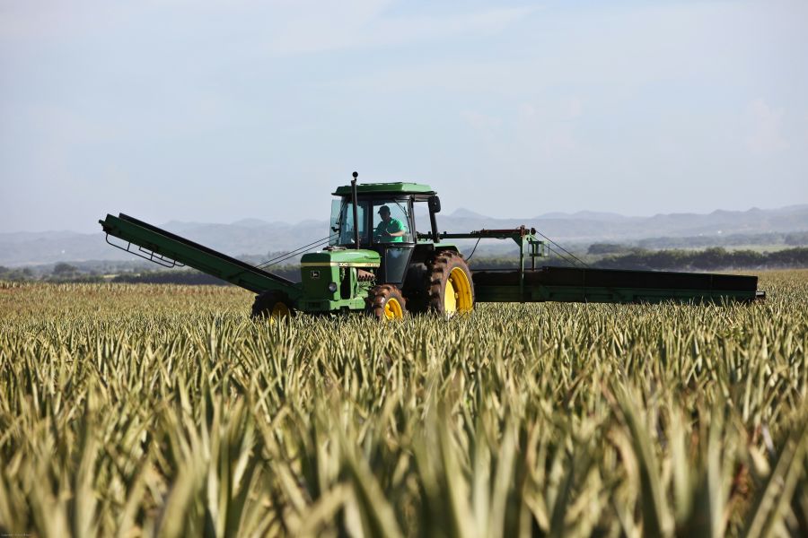 <who>Photo credit: Dietmar Reichle on Unsplash</who>Investing in farmland is a good idea during stagflation.