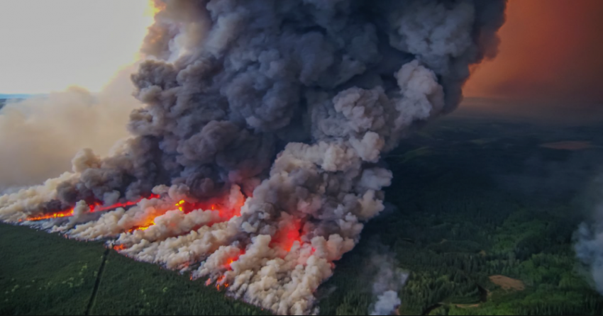 <who>Photo Credit: BCWS/ The Donnie Creek wildfire was finally held at just over 619,000 hectares.