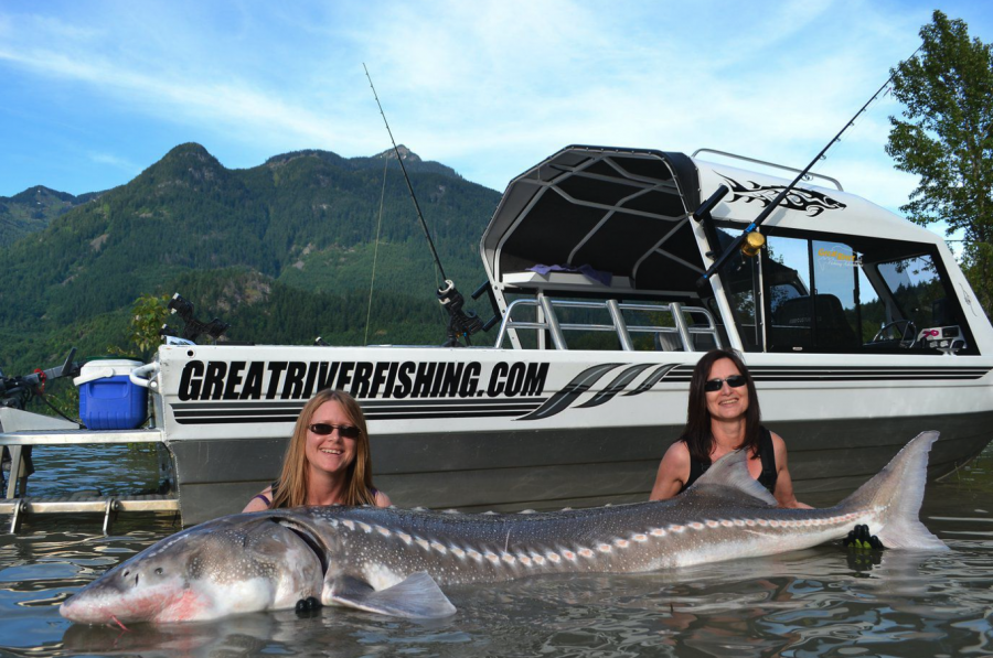 <who> Photo credit: Great River Fishing Adventures </who> Great River Fishing Adventures, led by Dean Werk with over 38 years on the Fraser River, is known for guided trips targeting giant sturgeon—the largest and longest-living freshwater fish in North America.