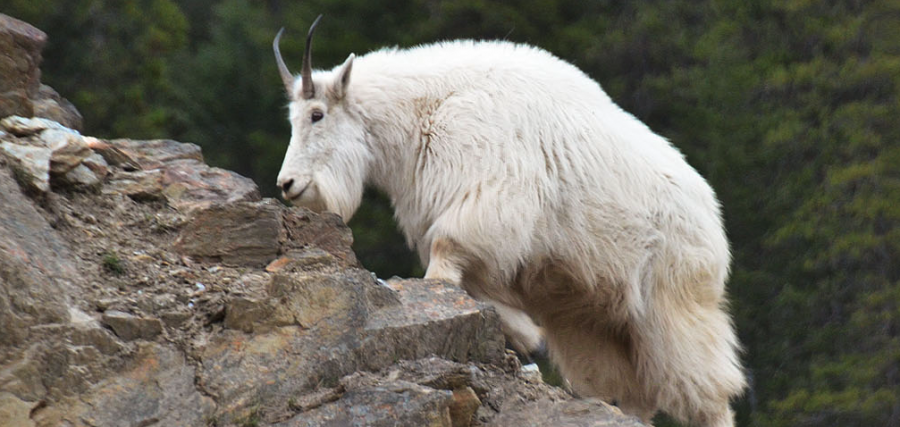 <who> Photo credit: Parks Canada