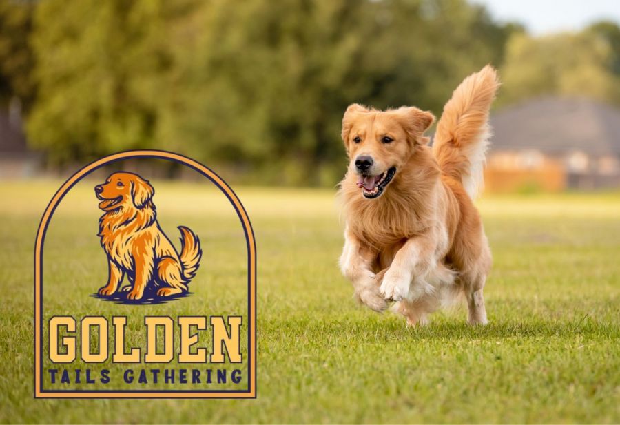 <who>Photo Credit: Golden Tails Gathering