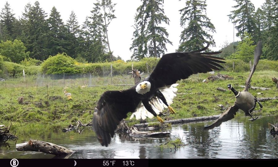 <who>Photo Credit: BC Wildfire Federation’s Watershed Team/Facebook