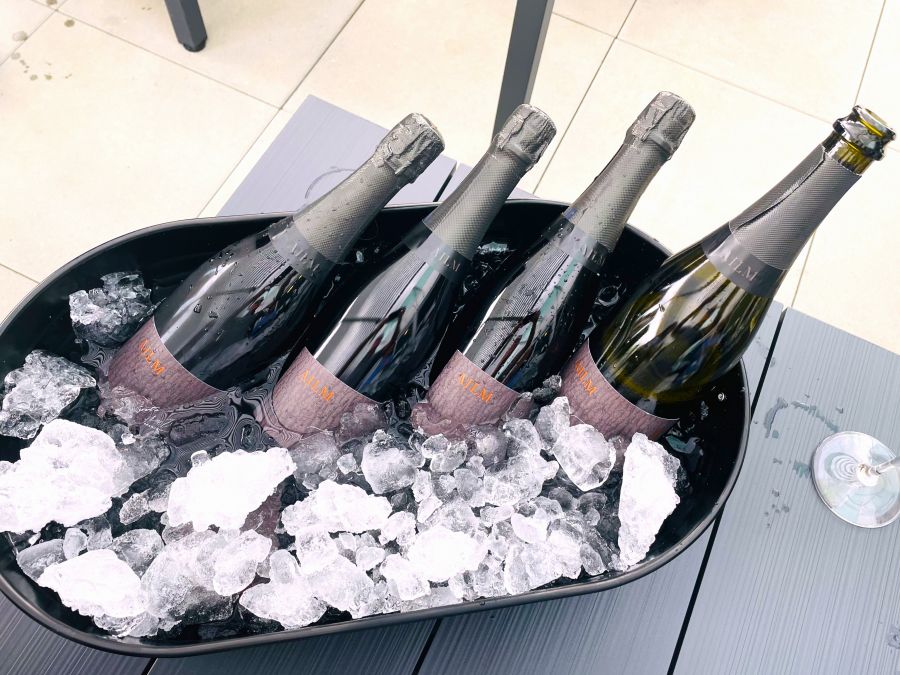 </who>Chilled.