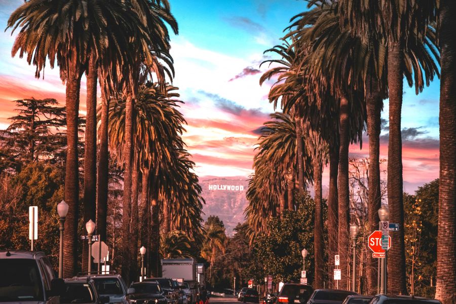 <who>Photo credit: Jake Blucker on Unsplash</who>Tourists flock to LA for the warm weather, beaches, palm trees and Hollywood.