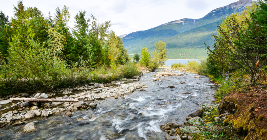 <who> Photo credit: BC Parks </who> Kootenay Lake.