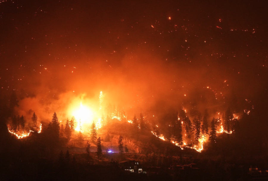 <who> Photo credit: Canadian Press </who> The McDougall Creek wildfire.