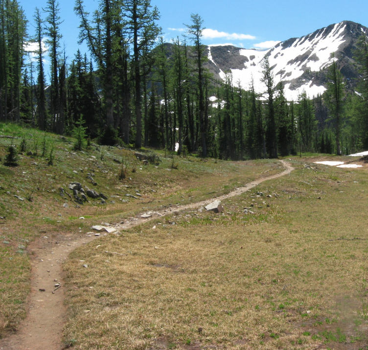 <who> Photo credit: BC Parks </who> Manning Provincial Park.