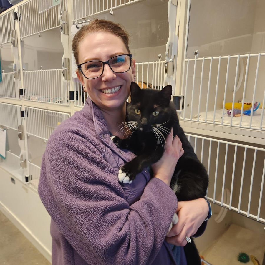 <who>Photo Credit: BC SPCA</who>Mike and Nicole were reunited in December thanks to the cat's microchip.