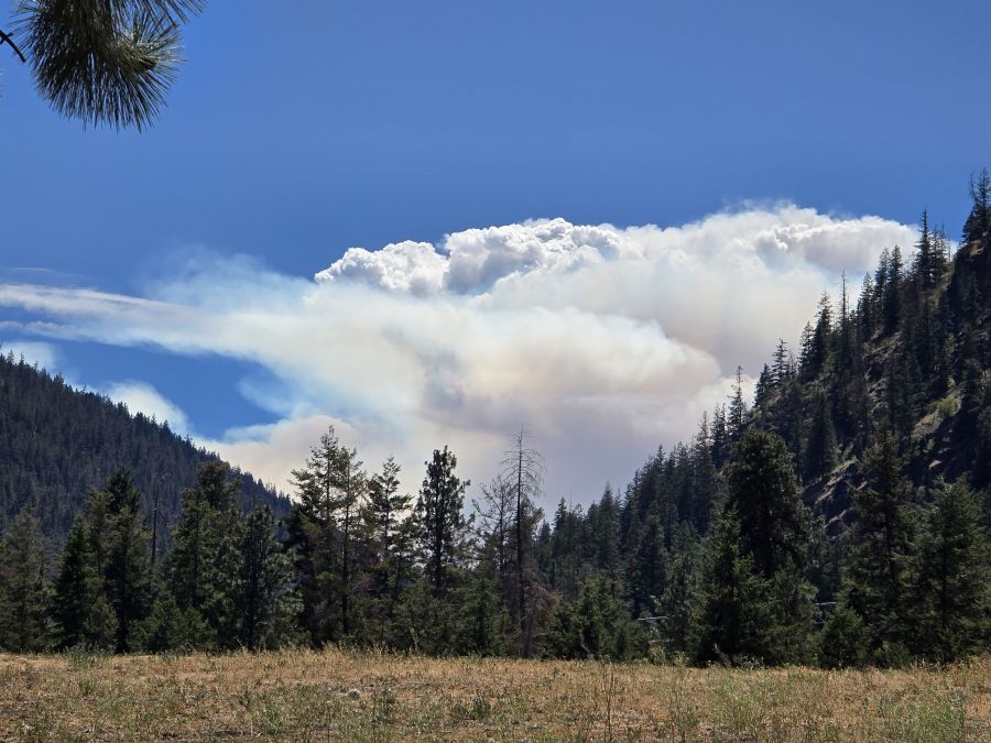 <who>Photo Credit: Lower Similkmaneen Indian Band</who>The Placer Creek wildfire.