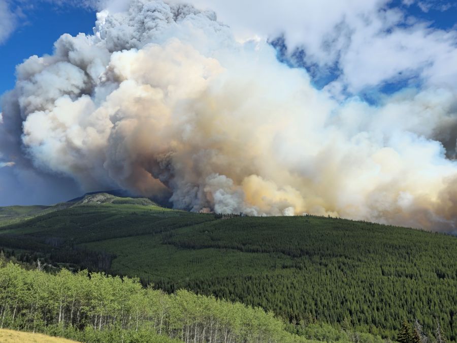 <who>Photo Credit: Lower Similkmaneen Indian Band</who>The Placer Creek wildfire.