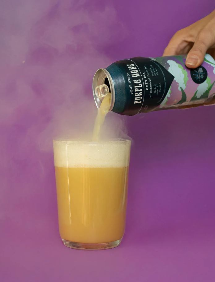 <who>Photo Credit: Four Winds Brewing</who>Purple Haze pours a turbid straw yellow colour.