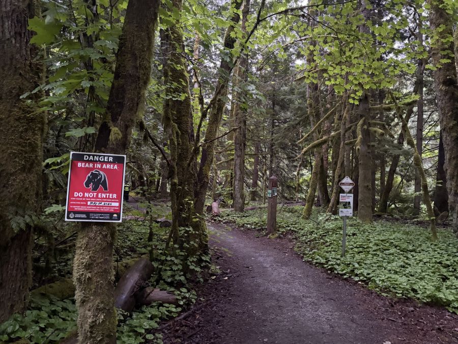 <who>Photo Credit: BC Conservation Officer Service
