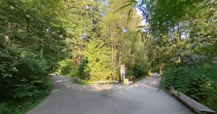 <who>Photo Credit: Google Streetview/Run Ride Record</who>The trail network on the eastern edge of Burnaby's Central Park.
