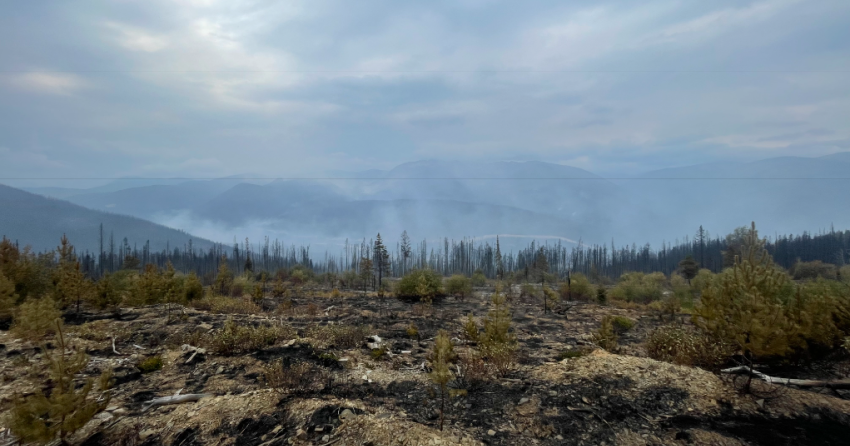 <who> Photo Credit: BCWS </who> View of fire perimeter along northeast flank, looking towards Highway 5 on Sept. 7.