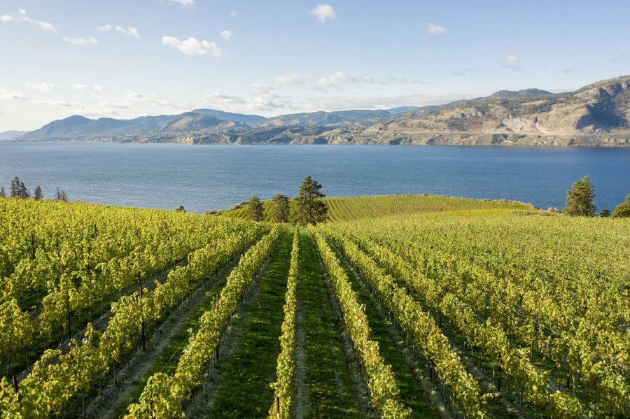 </who>Mission Hill Winery in West Kelowna was also touted in the article.