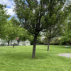Penticton adopts bylaw that allows temporary overnight sheltering in parks