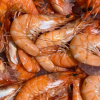 Illegal prawn fishing lands 2 BC men $40K in fines and one fishing ban