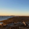 Lawyer warns of impacts of BC Court ruling that Aboriginal title trumps private properties