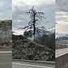 <span style="font-weight:bold;">UPDATE:</span> Evacuees can return home as City says wildfire near Vernon is 'stable'