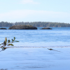 Tofino’s MacKenzie Beach officially changed to its Nuu-chah-nulth name, tinwis
