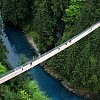 Tourist suffers ‘very serious injuries’ after falling off cliff at Lynn Canyon Park