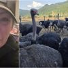 Ostriches at BC farm to be killed after last-ditch Supreme Court appeal fails